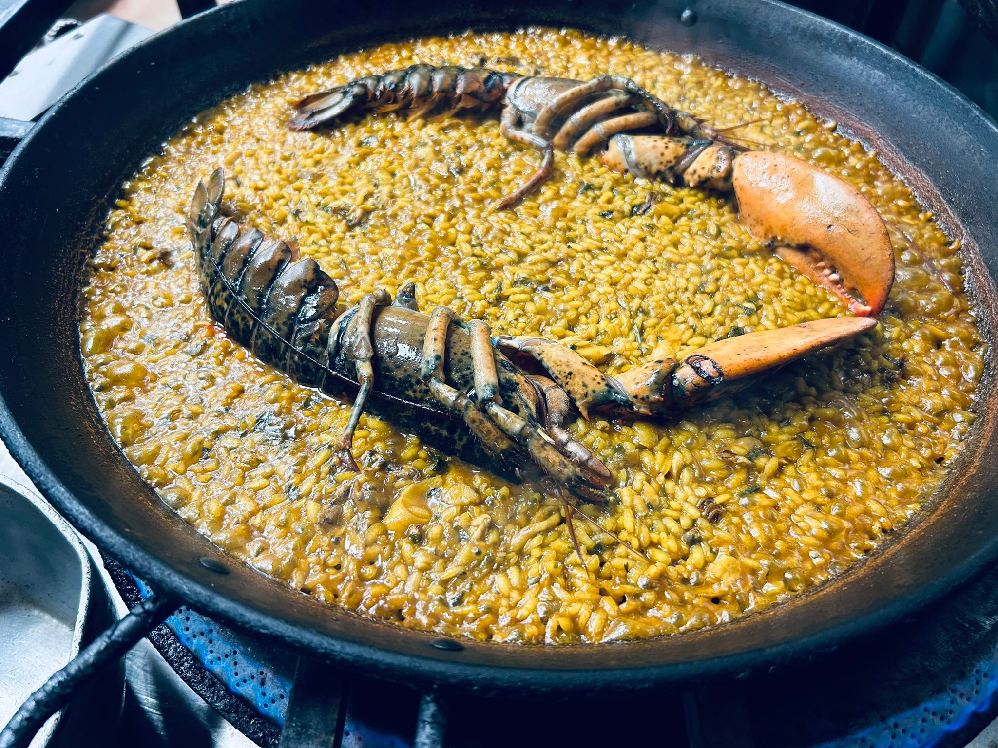 457d044a-7d4f-4910-84c3-40961c1c706c-1344x874